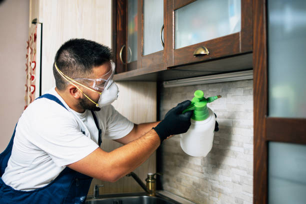 Best Wildlife Control Services  in Morton, MS