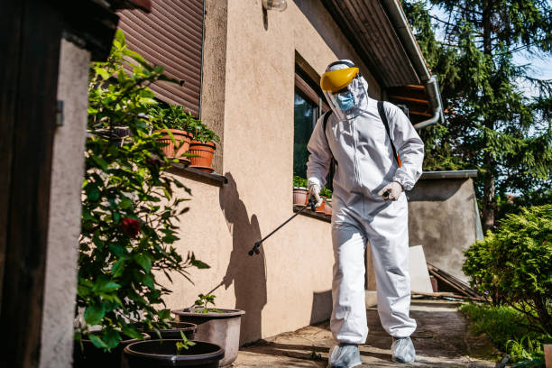 Best Wasp Removal Services  in Morton, MS