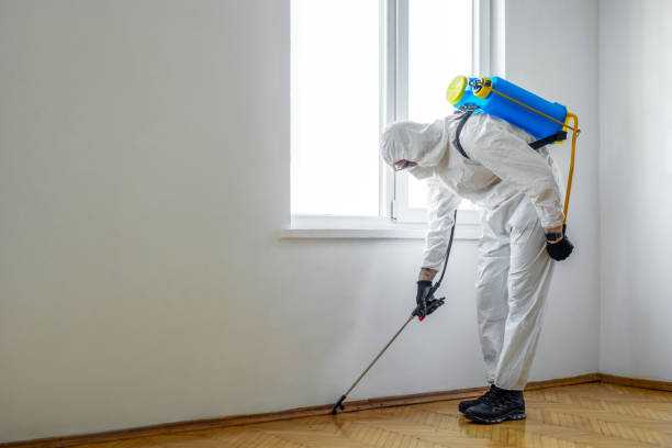 Best Best Pest Control Companies  in Morton, MS