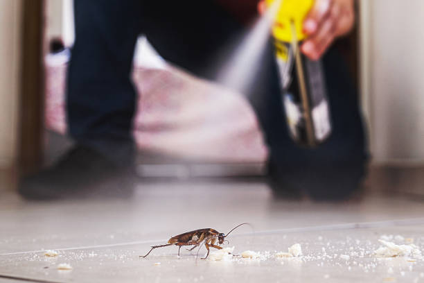 Best Pest Inspection Near Me  in Morton, MS