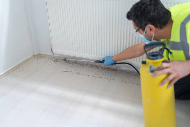 Pest Control for Restaurants in Morton, MS